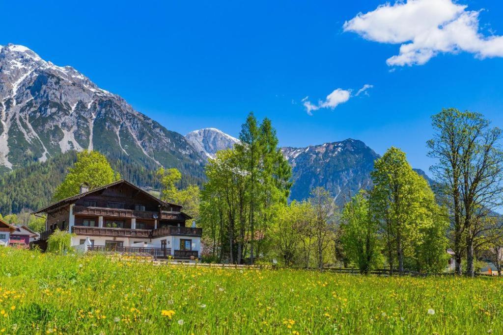 Bergidyll Top 1 Gartenwohnung Ramsau am Dachstein Ngoại thất bức ảnh