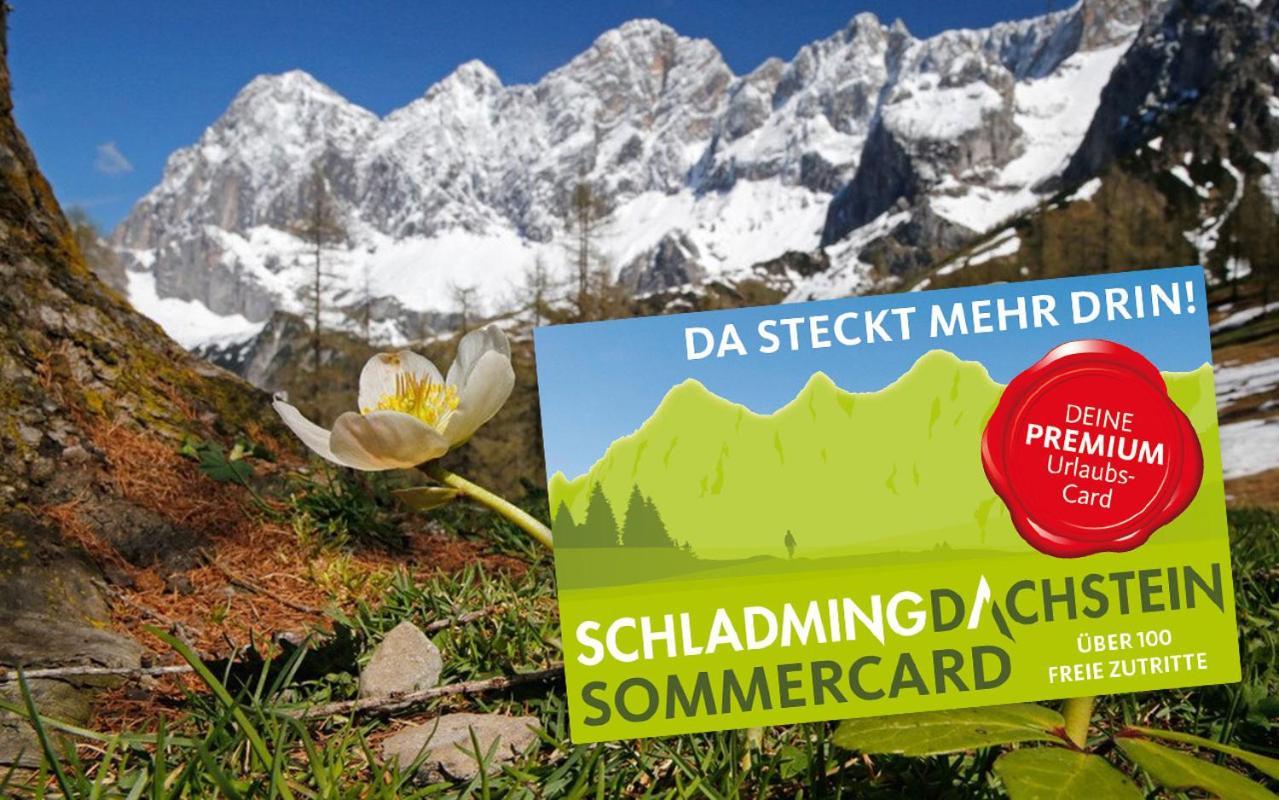 Bergidyll Top 1 Gartenwohnung Ramsau am Dachstein Ngoại thất bức ảnh
